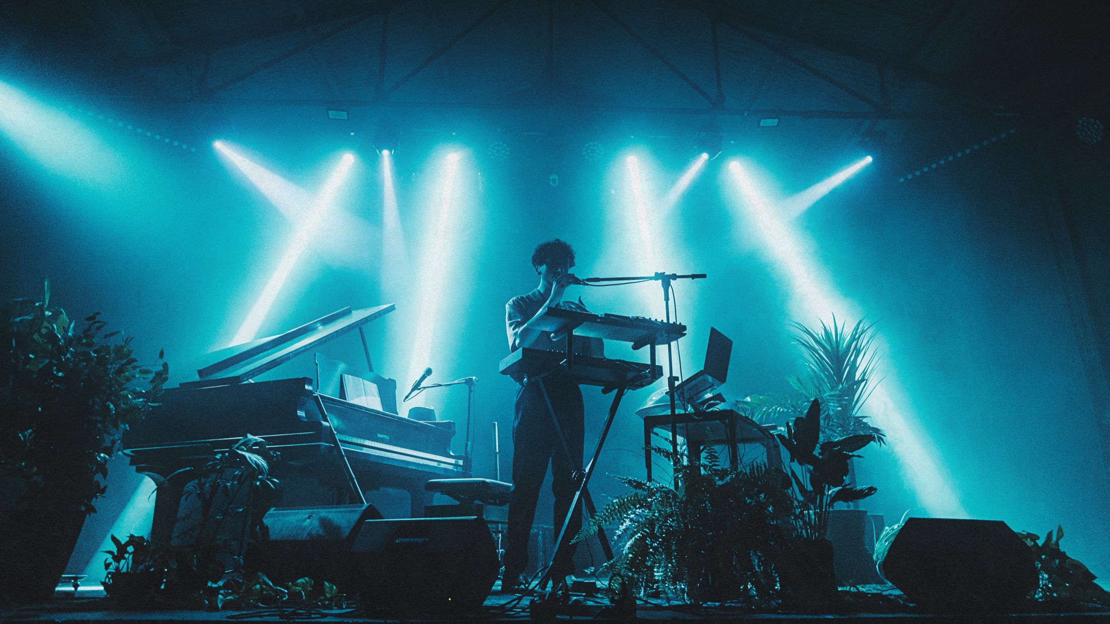 El Beso del Árbol performing live on an immersive festival stage